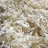 پاپریکا گوجه وپیازخشک|خوردنی و آشامیدنی|مشهد, یوسفیه (شهرک غرب)|دیوار