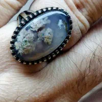 انگشتر شجر فردوس زنده