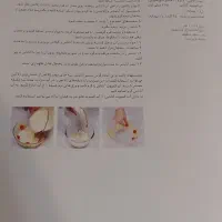 کتاب بسیارنفیس وکمیاب اموزش دسر سمیرا جنت دوست|کتاب و مجله آموزشی|نور, |دیوار