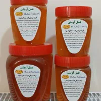 عسلهای ارگانیک چهل گیاه و تک گل مناسب افراد دیابتی