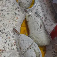 عسل طبیعی زنبور وحشی