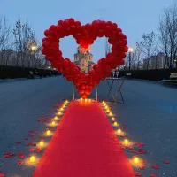 بادکنک آرایی و فینگر فود و سینی میوه و مزه