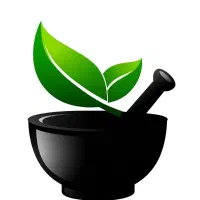 استخدام نیرو برای تولید محتوای اینستاگرام