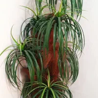 گل و گلدان مصنوعی