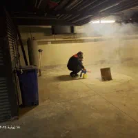 سمپاشی تضمینی ارگانیک حشرات موذی شمال|خدمات نظافت|گرگان, |دیوار