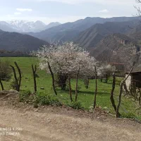 زمین-مسکونی