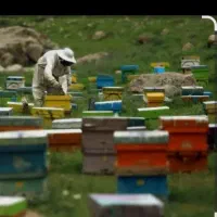 عسل طبیعی گون،انگبین،زول،چندگیاه دارویی با ضمانت|خوردنی و آشامیدنی|شاهینشهر, شهرک میلاد|دیوار