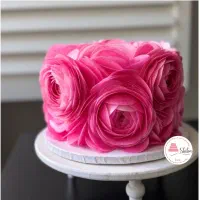 شیبا کیک (سفارش انواع کیک تولدوکافی شاپی