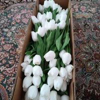 لاله لمسی شاخه ای 60هزار