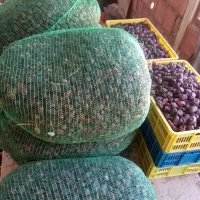 خرما کده بدون پوشال