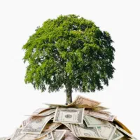 نیازمند ضامن