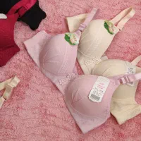 فروش و پخش لباس زیر زنانه وارداتی|لباس|رشت, تازه آباد|دیوار