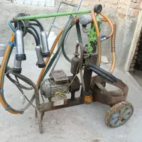 شیردوش