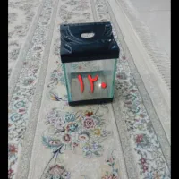 آکواریوم کوچک و بزرگ در بیدستان