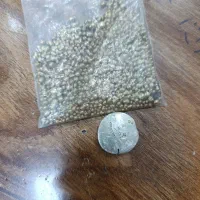 نقره آب شده وساچمه