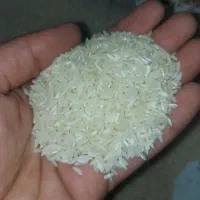 برنج ویسیان