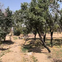فروش زمین بوستان زندگی شرقی قابل تقسیم به دو پلاک|فروش زمین و ملک کلنگی|نجف‌آباد, دفاع مقدس|دیوار
