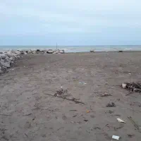 زمین با بر ساحل و جاده در نشتارود|فروش زمین و ملک کلنگی|نشتارود, |دیوار