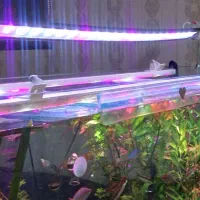 نور ۱متری آکوا فیلتر بزرگ واتربر آکواریوم ۱۲۰سانتی|ماهی|مشهد, کوشش|دیوار