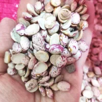 چیتی اشی و لوبیا قرمز زنجان