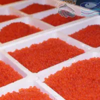 فروش تخم چشم زده قزل آلا