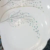 فروش وسایل لازم خانگی|ظروف سرو و پذیرایی|دهدشت, |دیوار