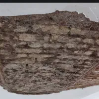 گچکاری لکه گیری نم زدگی تبله شوره تمام نقاط منصف