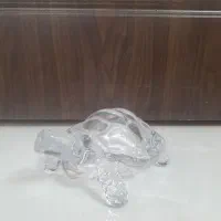 لاکپشت کریستالی