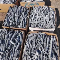 زغال پسته(سرشاخ-قلم)