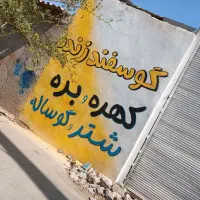 دیوار نویسی و نقاشی دیواری