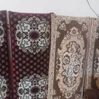 دوجفت پشتی درحدنو