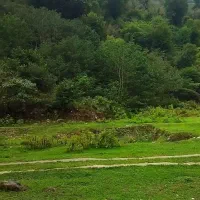 500متر باغی داخل طرح هادی روستا کنار رودخانه