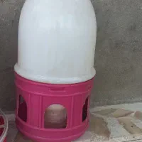 آبخوری دونخوری . جادانی جاآبی مرغ خروس کبوتر|لوازم جانبی حیوانات|اسدآباد, |دیوار