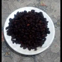 زغال اخته خشک  امساله گوشتی|خوردنی و آشامیدنی|قم, نیروگاه|دیوار