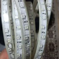 ریسه ال ایدی|ریسه و چراغ تزئینی|پاکدشت, پاکدشت (مامازند)|دیوار