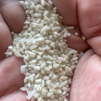 نیم دانه هاشمی درجه یک ۲۳۰تومن