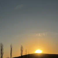 ۱۰۰۰ متر . باغشهری .کودیان