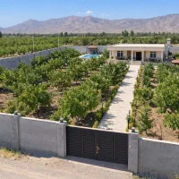 باغچه-اقساطی-سند-تک-برگ-یک-ساعته-تهران