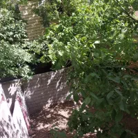 منزل-اجاره-ای-حیاط-دار-دربست