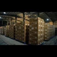 استخدام فوری نیروی اقا شرکت کالای پزشکی|استخدام اداری و مدیریت|رشت, گلسار|دیوار