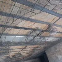 گچکاری و راویزکاری|خدمات پیشه و مهارت|سیریک, |دیوار