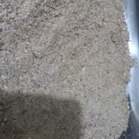 خوراک دامی گاو پرواری شیری