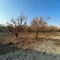 زمین-140-متر-در-بافت-نزدیک-مترو-رباط-کریم-بازارک