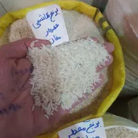 برنج مغان خوش عطر دشت مغان