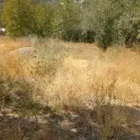 زمین-دماوند-جهت-سرمایه-گذاری