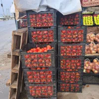 گوجه به قیمت گوجه ربی ۱۰تومان وتربار حراجی|حراج|گنبد کاووس, |دیوار