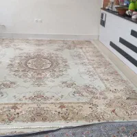 فرش ماشینی ۱۲ متری نو|فرش|مشهد, توس (بلوار توس)|دیوار