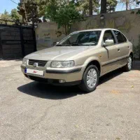 سمند معمولی تک برگ سند درجه یک