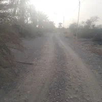 اجاره چهار ۴ هکتار زمین کشاورزی چراغ آباد|اجارهٔ دفتر صنعتی، کشاورزی، تجاری|توکهور, |دیوار