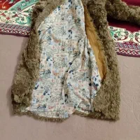 پالتو|لباس|زنجان, |دیوار